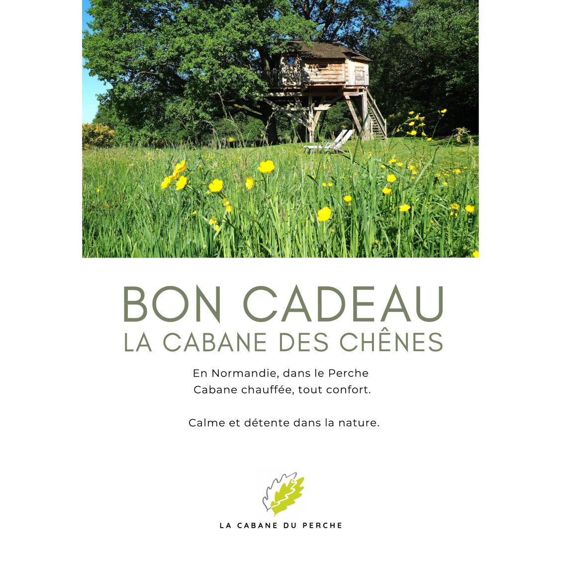 bon cadeau cabane des chênes famille dans les arbres en normandie