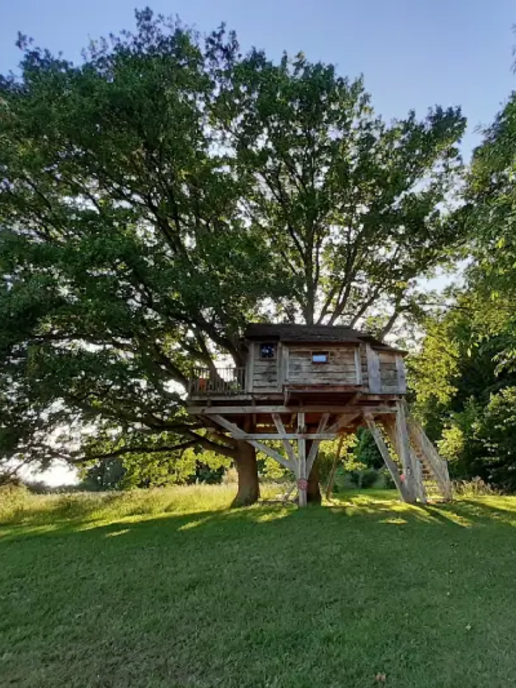cabane dans les arbres en été dans le Perche