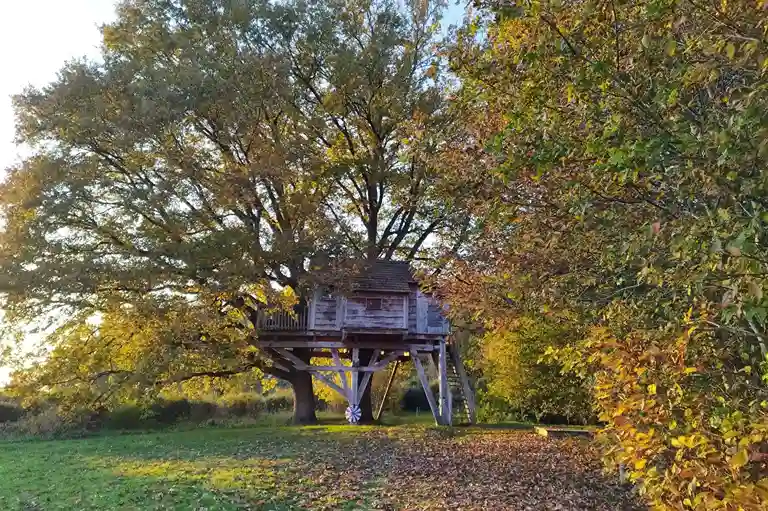 la cabane des chênes dans les arbres en automne