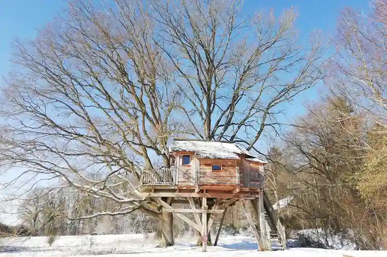 la cabane des chênes dans les arbres en hiver